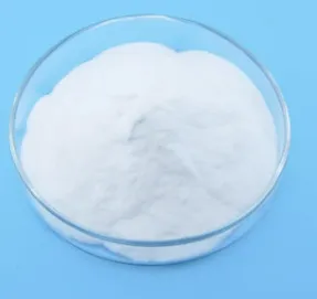 Silver Chloride|CAS 7783-90-6